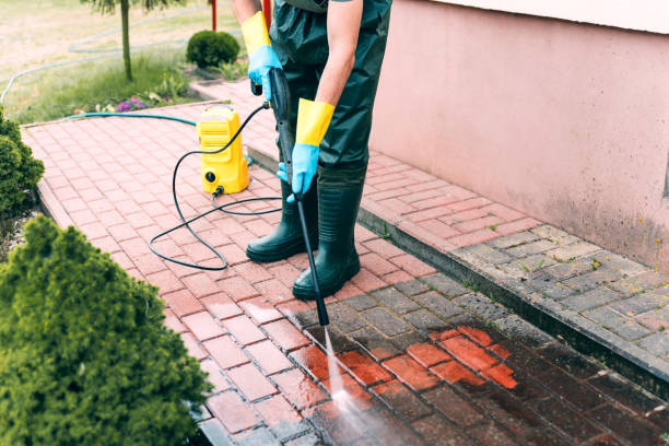 Best Building Exterior Washing  in Palmer, TX